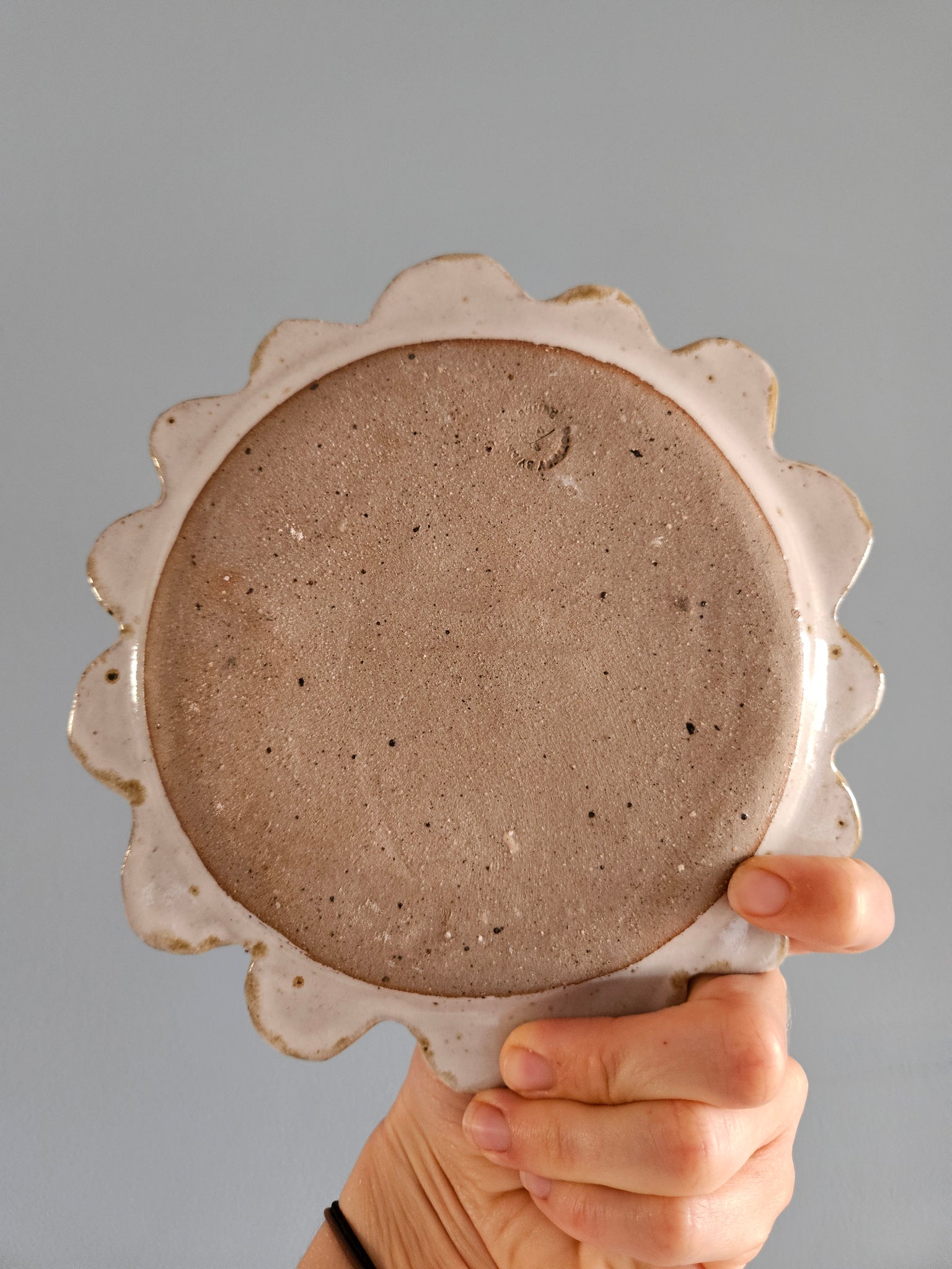 Plate 2
