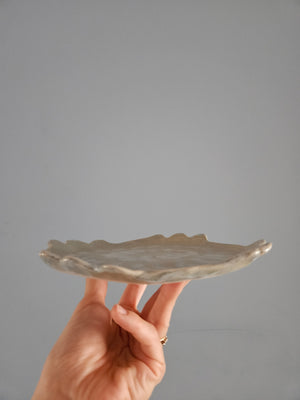 Plate 1