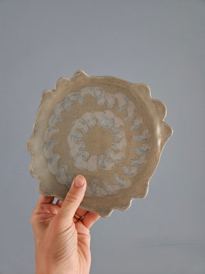 Plate 1